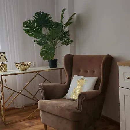 Magvel Gold * Щецин