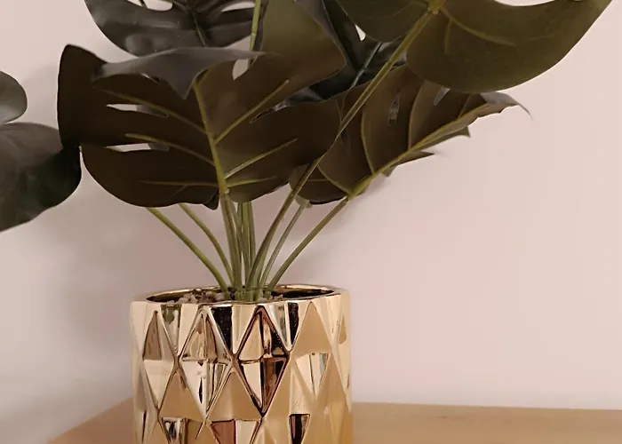 Magvel Gold Szczecin